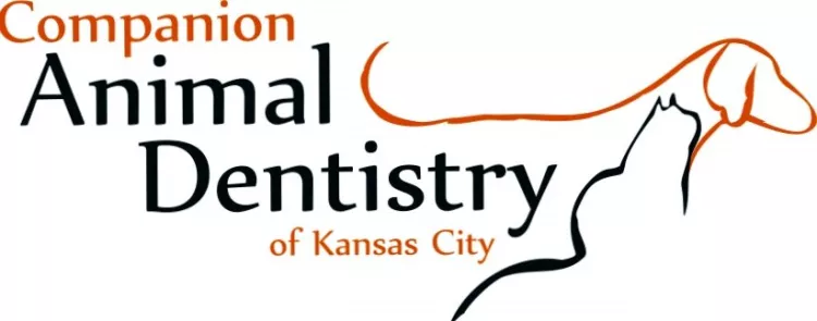 Companion Animal Dentistry of Kansas City, Kansas, Lenexa